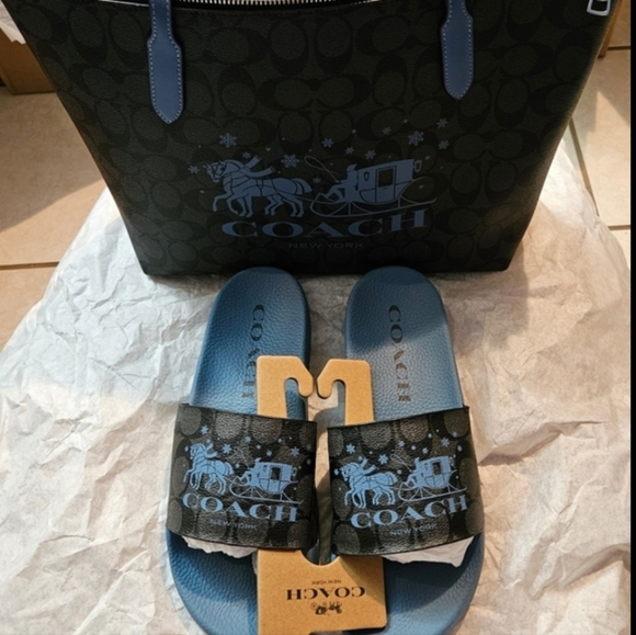 Coach Bag And Slides - Picture 1 of 4